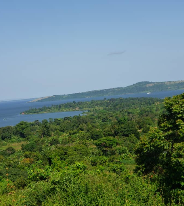 WhatsApp Image 2022-06-04 at 8.51.55 PM.jpeg